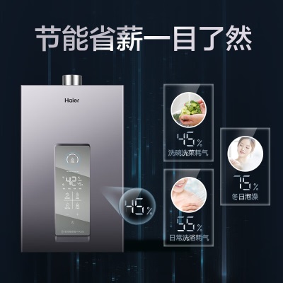 海尔（Haier）燃气热水器天然气水伺服恒温强排式APP智能节能洗澡即热磁化抑垢密闭稳燃舱FA320 FA320 智控风机 13升a2