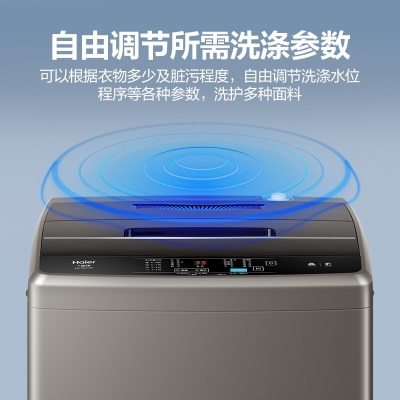 海尔（Haier）波轮洗衣机全自动10公斤大容量蝶形水流低磨损租房神器节能家用以旧换新109a2