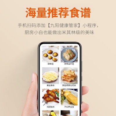 九阳（Joyoung） 空气炸锅家用大容量多功能全自动无油煎炸电炸锅定时温控薯条炸鸡干炸锅 VF516【4.5L空气炸锅】a4