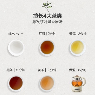 小熊（Bear） 煮茶器煮茶壶 迷你小型循环蒸汽喷淋煮茶 304不锈钢家用办公室养生壶冲泡茶叶烧水壶 1L微电脑a9a10