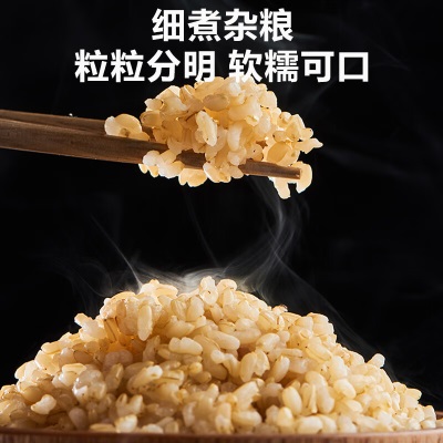 苏泊尔（SUPOR）电饭煲 电饭锅家用4-5人5升大容量智能IH柴火饭多功能 蒸米饭压力饭煲上盖可拆洗 SY-50HC5003Qa7