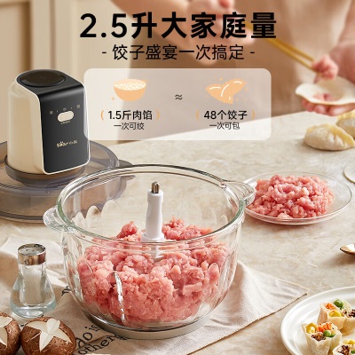 小熊绞肉机家用 可调粗细绞馅机 碎肉机 电动多功能料理搅拌机打肉机饺子肉馅蒜蓉机 双刀头 【3+1档调速】2.5升QSJ-D04X2