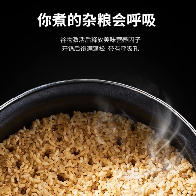 苏泊尔（SUPOR） 电饭煲电饭锅2L IH电磁加热球釜 2人-3人家用智能多功能迷你小型1-2人 SF20HC949Aa7