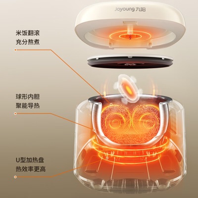 九阳（Joyoung）电饭煲家用电饭锅0涂层不锈钢球形内胆2L升多功能钢釜1-3人智能预约蒸饭锅 【5A好米饭】20N1a4