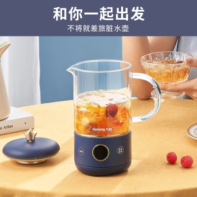 九阳（Joyoung）迷你养生壶煮茶器办公室烧水壶家用玻璃花茶壶0.6L小型便携式煮茶壶 K06F-WY500 蓝色a4