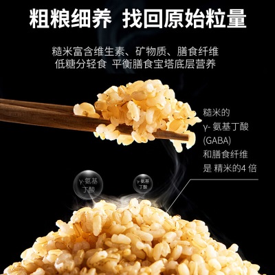 苏泊尔（SUPOR） 电饭煲电饭锅2L IH电磁加热球釜 2人-3人家用智能多功能迷你小型1-2人 SF20HC949Aa7