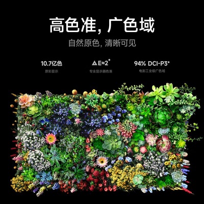 小米（MI）Redmi MAX 90 英寸4K超清  3GB+32GB 电视机 90英寸 金属边框+远场语音a11a11