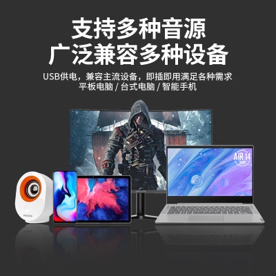 联想（Lenovo）异能者电脑音箱有线小音响家用桌面音箱USB高音质 多媒体台式机笔记本电脑音响 电视音响a13