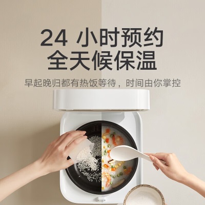 米家小米快煮电饭煲4L/ 家用电饭锅 25分钟快煮 厚质不粘内胆a11