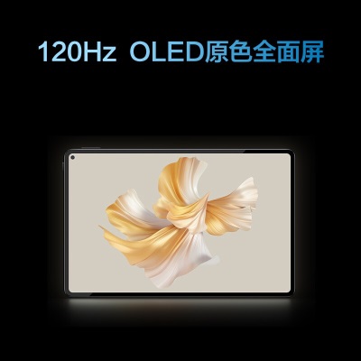 华为HUAWEI MatePad Pro 11英寸 120Hz高刷全面屏 影音娱乐办公学习平板电脑a14