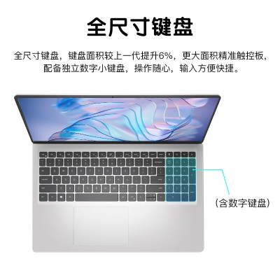 戴尔（DELL）灵越15Pro 15.6英寸酷睿i5笔记本轻薄办公制图家用游戏学生剪辑商务手提电脑 灵越3511 酷睿i5 锐炬Xe显卡a14