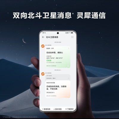 华为/HUAWEI P60 超聚光XMAGE影像 双向北斗卫星消息 256GB 羽砂黑a14