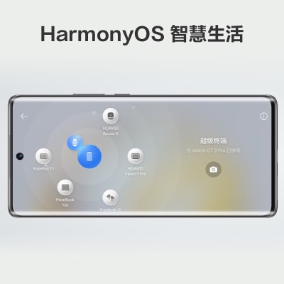 HUAWEI nova 10 【内置66W华为超级快充】 前置6000万超广角镜头 6.88mm轻薄机身a14