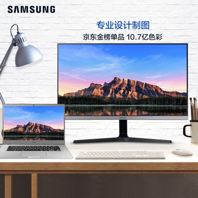 三星（SAMSUNG）28英寸 IPS 4K  HDR10  10.7亿色 设计制图 三面窄边框 FreeSync 高清电脑显示器a26