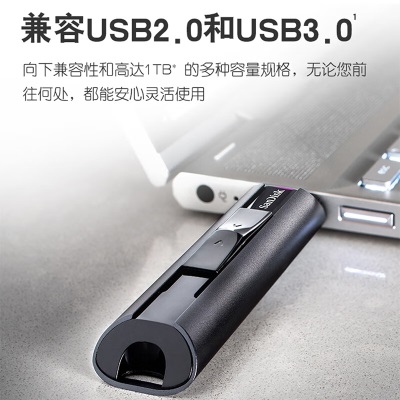 闪迪（SanDisk） U盘大容量USB3.2 CZ880SSD固态闪存盘U盘高速写入商务电脑办公 SSD固态闪存盘a23p