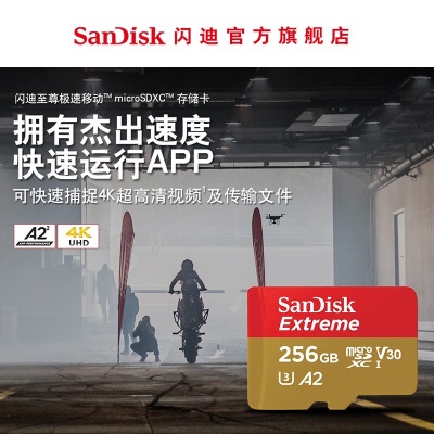 SanDisk闪迪存储卡大容量U3/V30高速TF卡手机行车记录仪内存卡microtf卡  高性能 U３ V30a23p