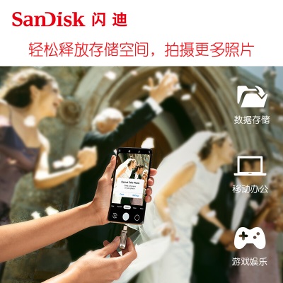 闪迪（SanDisk） Type-C手机U盘USB3.1高速版DDC4手机电脑两用全金属U盘定制款a23p