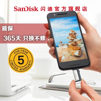 闪迪（SanDisk） U盘256GB Type-C 双接口OTG安卓高速接口手机电脑两用优盘大容量 浅灰色 256Ga23p