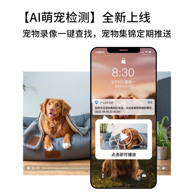 TP-LINK 全彩400万2.5K摄像头家用监控器360全景无线家庭室内tplink可对话网络手机远程门口高清a31