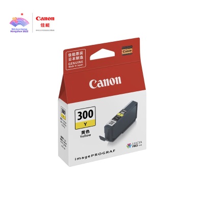 佳能（Canon） PFI-300 GY 灰色墨盒a40