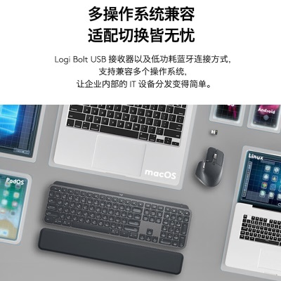 罗技（Logitech）MX KEYS COMBO  商用键鼠套装a41