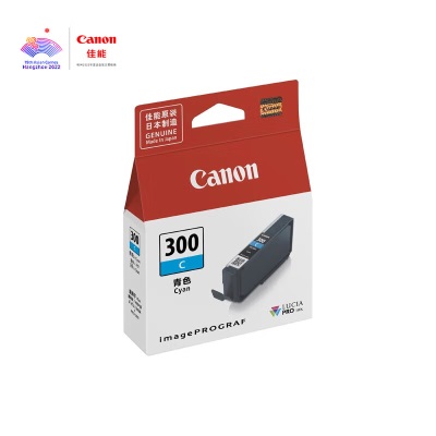 佳能（Canon） PFI-300 GY 灰色墨盒a40