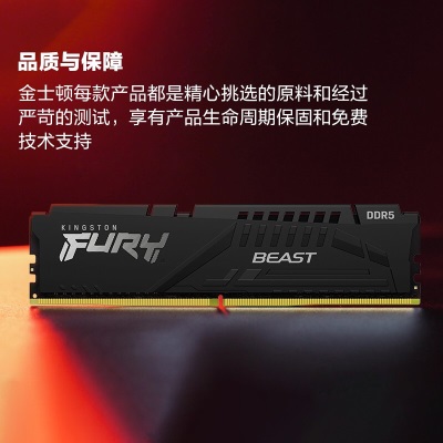 金士顿 (Kingston) FURY 32GB(16G×2)套装 DDR5 5600 台式机内存条a43