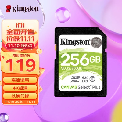 金士顿（Kingston）256GB SD存储卡 U3 V30 相机内存卡 高速sd卡大卡 4K超高清拍摄a43