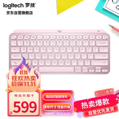 罗技（Logitech）MX Keys Mini商用蓝牙键盘 石墨黑 简约无线背光键盘  办公键盘 Logi Bolta41