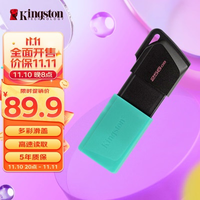 金士顿（Kingston）256GB USB3.2 Gen1 U盘 DTMC3G2 银色金属 迷你型车载U盘a43