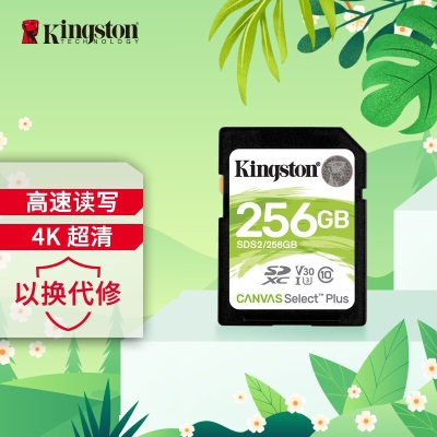 金士顿（Kingston）256GB SD存储卡 U3 V30 相机内存卡 sd卡大卡 支持4K 高速连拍a43