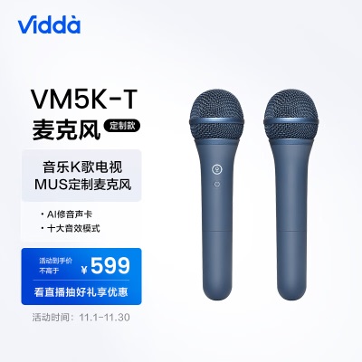 Vidda 海信 麦克风 VM3G-T 海信电视 Vidda电视定制麦克风 天籁K歌 无线麦克风 家庭KTVa50