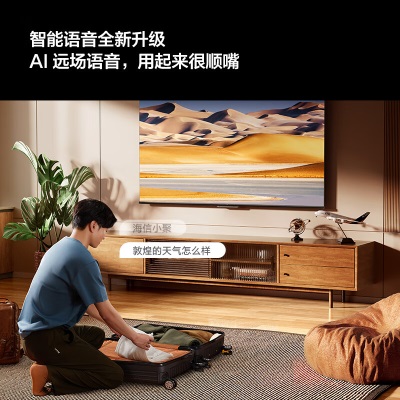 海信（Hisense）超值套装 4K护眼语音电视+10公斤除菌螨滚筒洗衣机 55V1F-R+HG100DG12F 附件仅展示a50