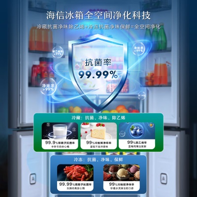 海信（Hisense）电视冰箱套装海信U+多分区控光电视65E5H+510升母婴十字对开冰箱65e5h+BCD-510WMK1DPJ 附件仅展示a50