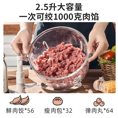 小熊（Bear）绞肉机家用 绞馅机 碎肉机 电动多功能料理搅拌打肉饺子肉馅蒜蓉机不锈钢 搅肉机QSJ-C04V3a57g