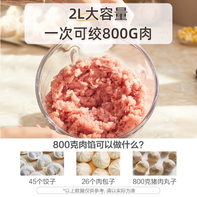 小熊（Bear）绞肉机家用 绞馅机 碎肉机 电动多功能料理搅拌打肉饺子肉馅蒜蓉机不锈钢 搅肉机QSJ-B03E1a57g