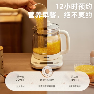 小熊（Bear）养生壶 1.5L煮茶壶烧水壶 可拆卸茶篮 煮茶器电水壶 恒温电热水壶 保温花茶壶a57g