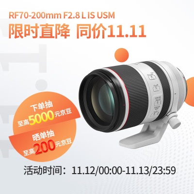 佳能（Canon）RF600mm F11 IS STM 超远摄定焦镜头a54