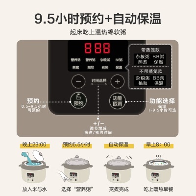 小熊（Bear）电炖锅 电炖盅 隔水炖锅 煲汤锅 燕窝炖盅 炖汤锅 炖汤盅蒸锅 婴儿煮粥神器 DDZ-C25X6a57g