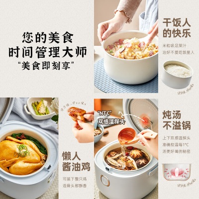 小熊（Bear）电饭煲 电饭锅 家用多功能3升智能预约定时迷你米饭锅蒸饭器2-3人a57g